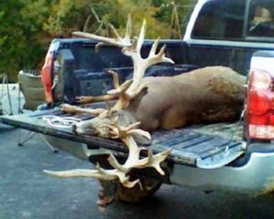 Is this reported Nebraska mega buck the real deal? Or is it a PhotoShop or pen-raised hoax?